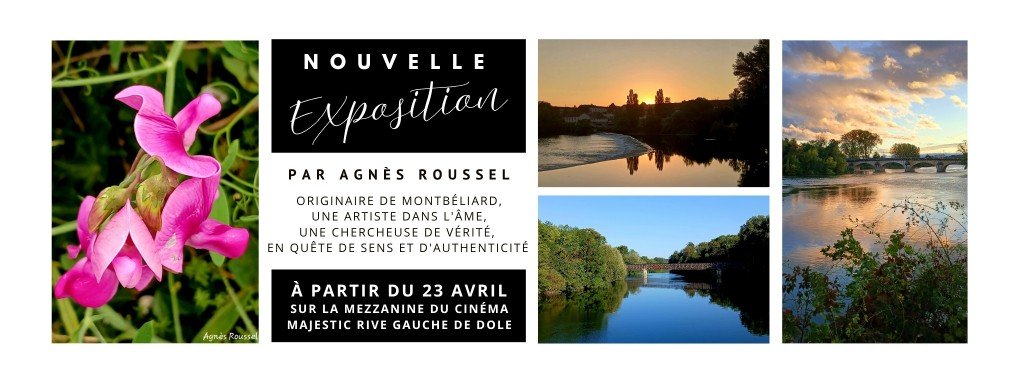 actualité NOUVELLE EXPOSITION