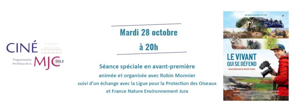 actualité mjc